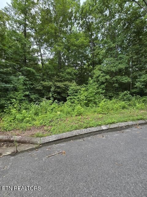 Property Photo:  Lot 142 Lower Brow Rd  TN 37327 