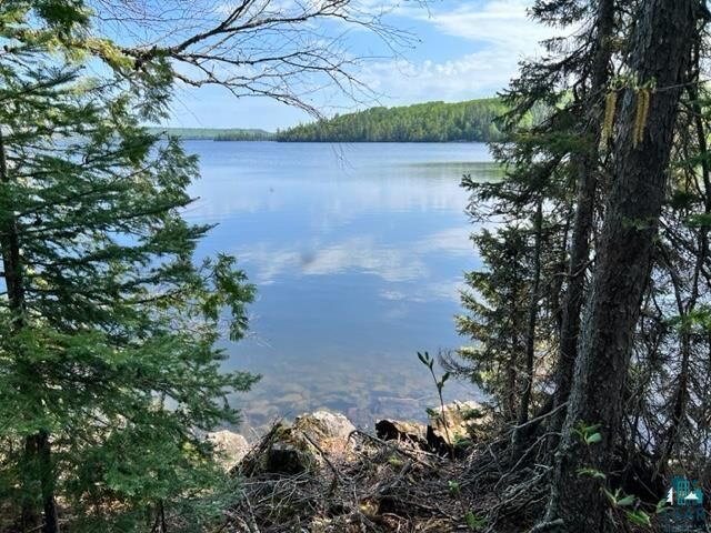 Property Photo:  15xa Greenwood Lake Rd  MN 55604 