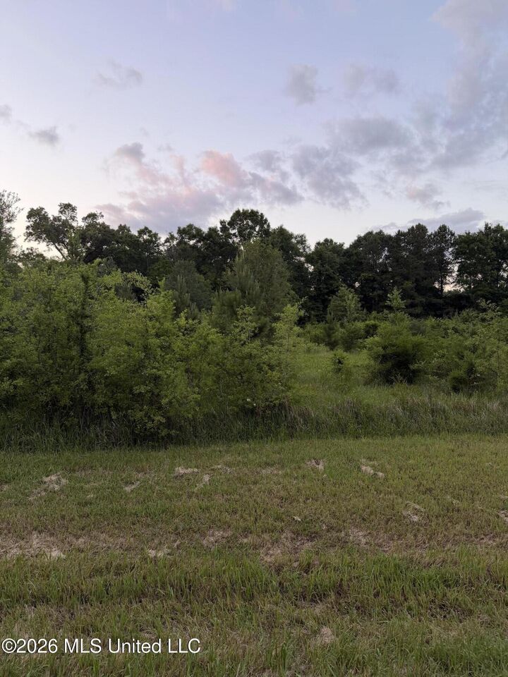 Property Photo: 2771 E McHenry Road MS 39574