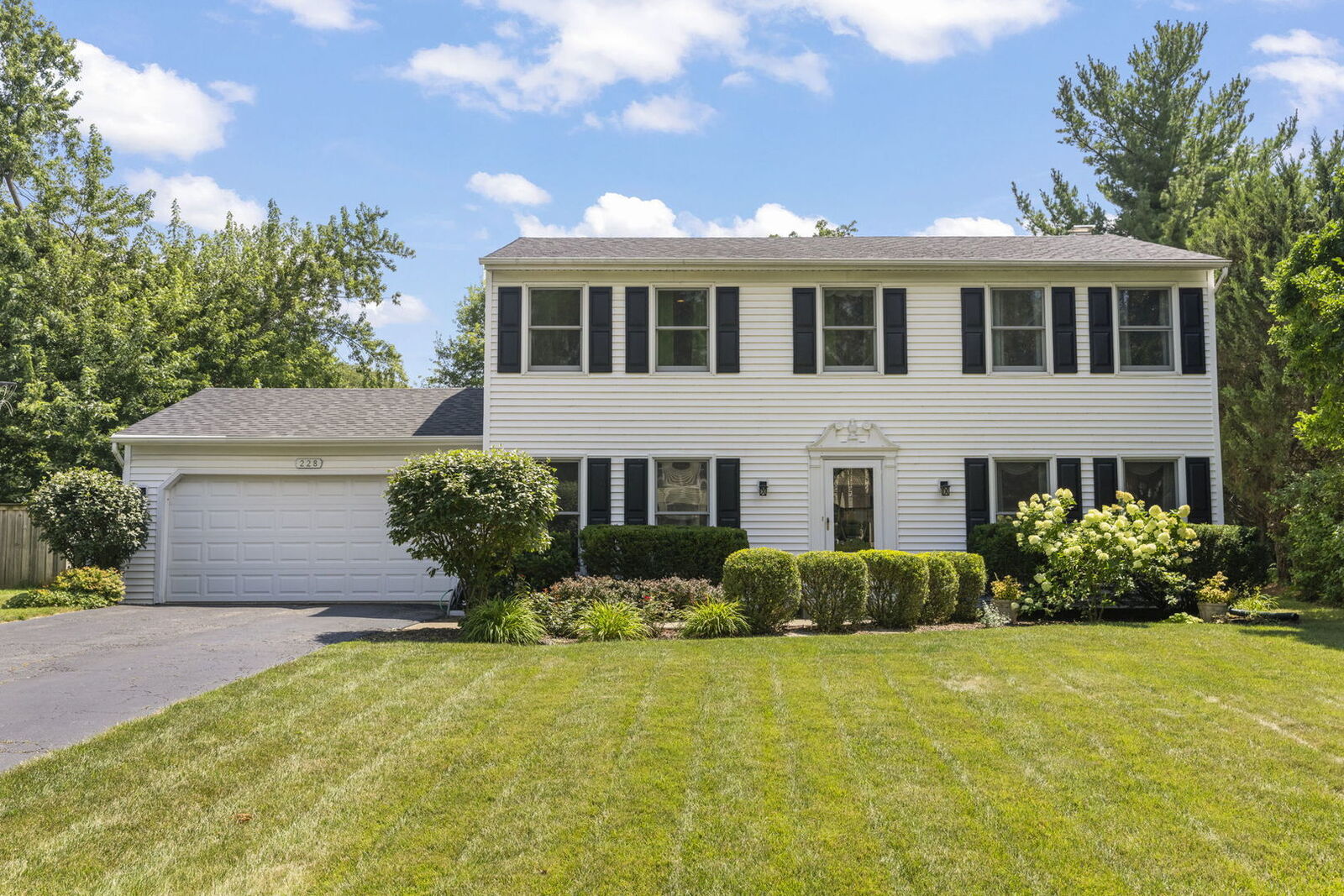 Property Photo: 228 Winslow Court IL 60565