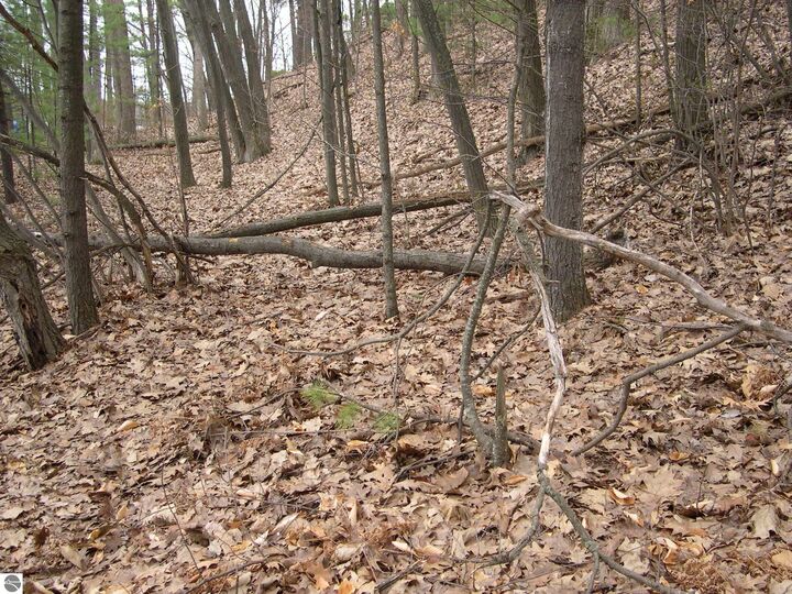 Property Photo: 1597 Edgewater Ridge MI 49684