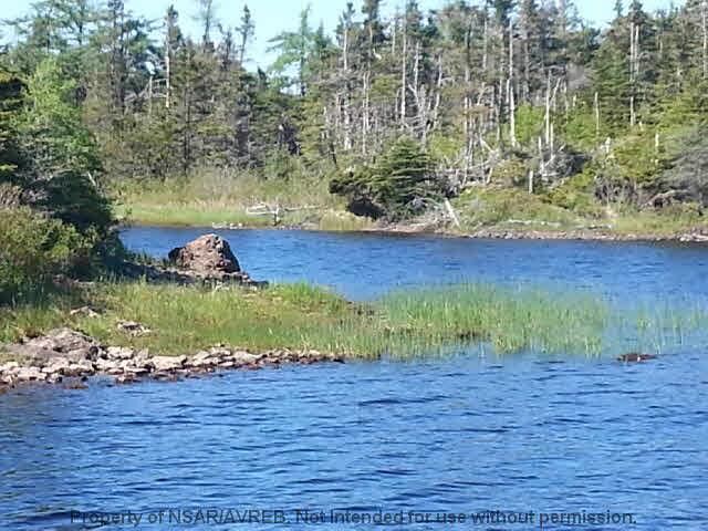 Property Photo:  Lot 14 East Side Grand River Road  NS B0E 1M0 