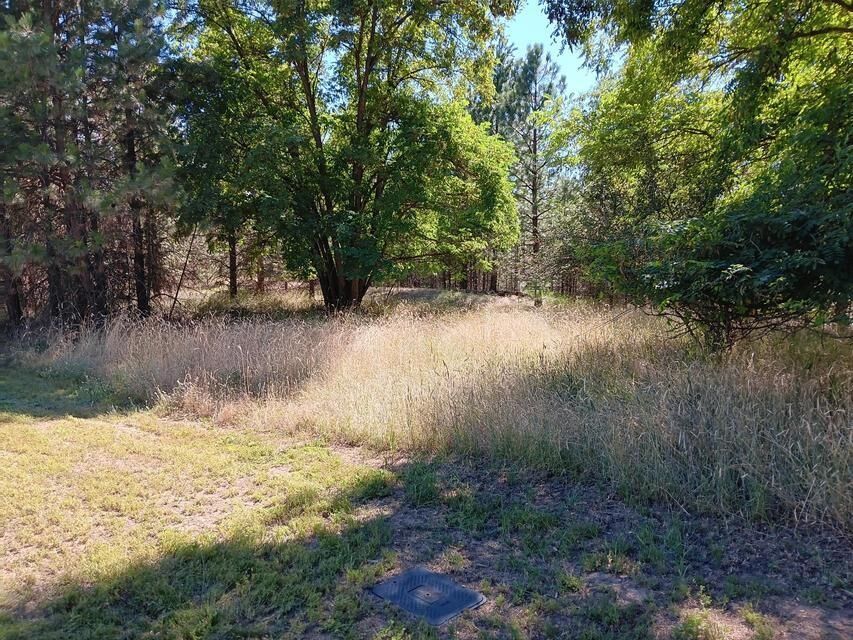 Property Photo:  Xxx Ponderosa Way  WA 99141 
