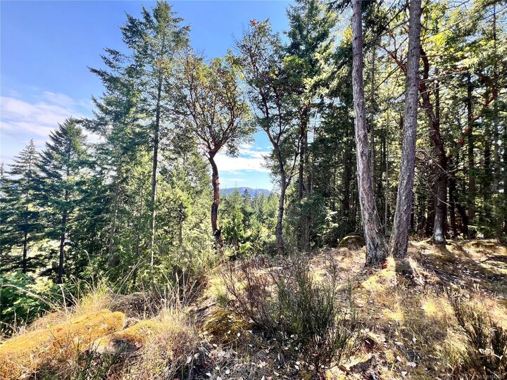 Property Photo: 131 Rainforest Rd BC V8K 1S4