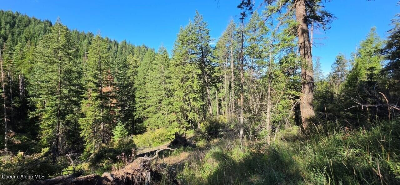 Property Photo:  N Gages Mountain Rd  ID 83814 