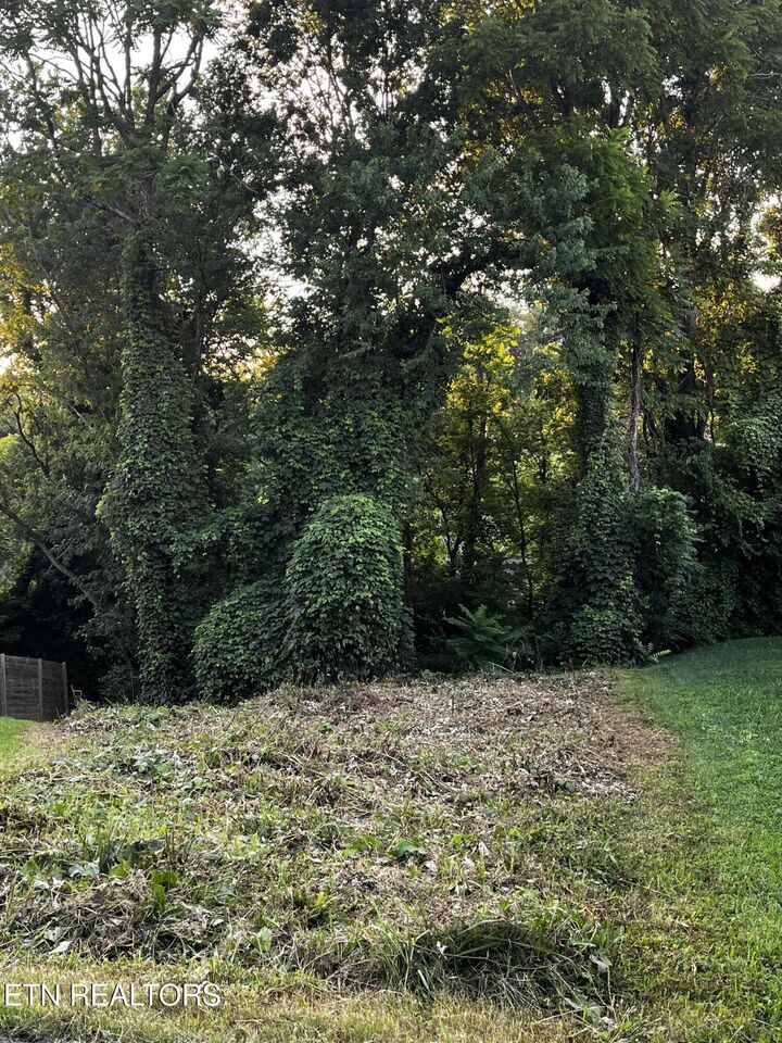 Property Photo:  103 Henry Ave  TN 37920 