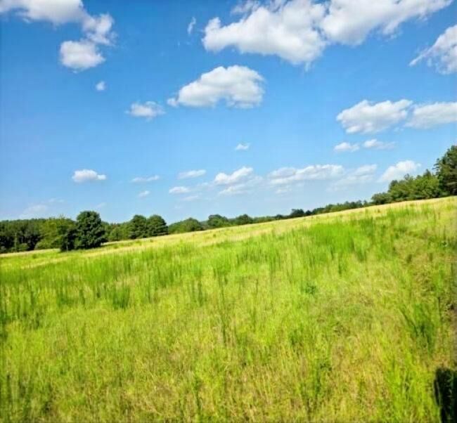 Property Photo: 39.10 Ac N Fm 2276 TX 75652