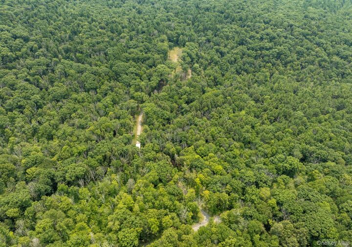 Property Photo: 276 E Hill Road NY 12017