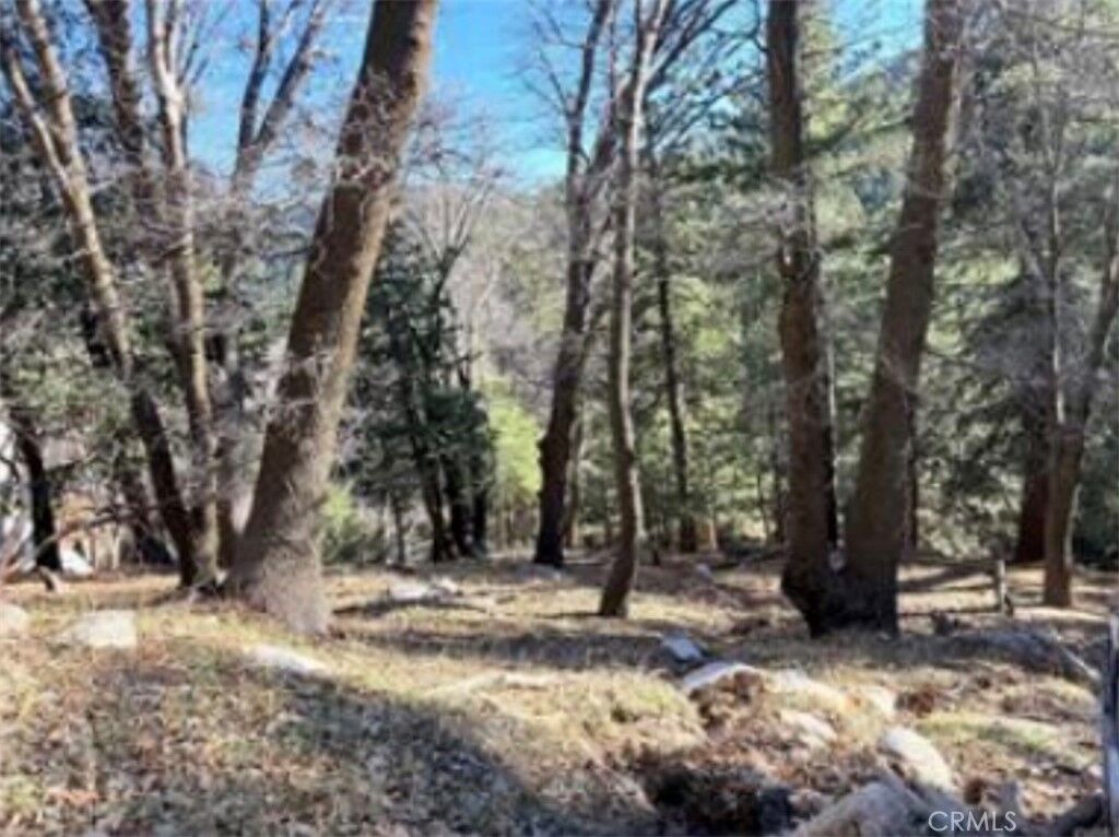 Property Photo: 0 Thunderbird CA 92352