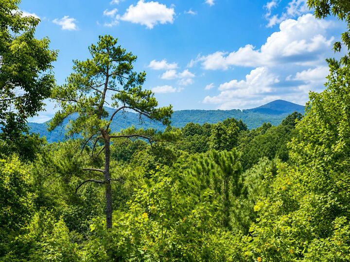 Property Photo:  1046 Crossroads Church Road  GA 30540 