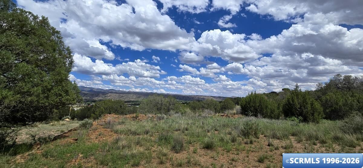 Property Photo: Xx Las Palomas Circle NM 88049