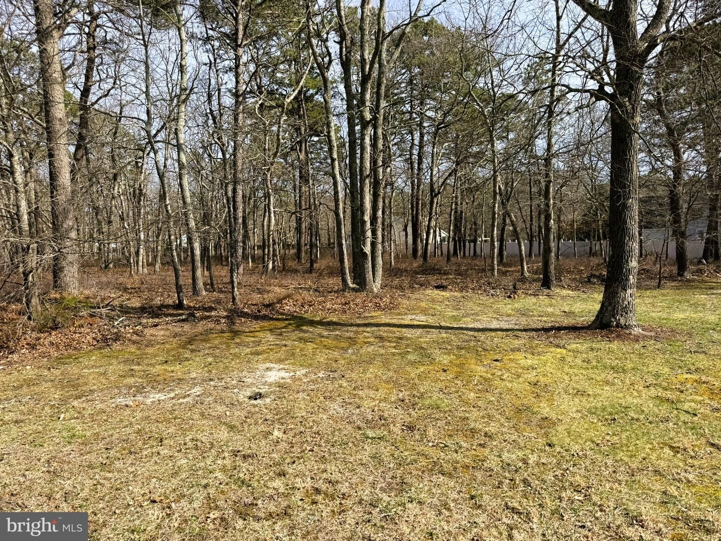 Property Photo:  17 Birchwood Drive  NJ 08087 