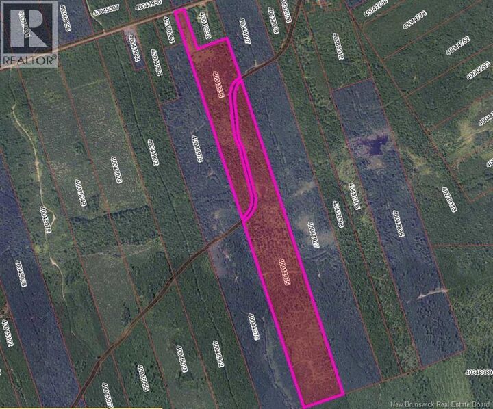 Property Photo:  37.8 Hec Bettsburg Road  NB E9C 1L1 