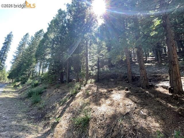 Property Photo: Parcel 34 Sno Bowl Rd CA 95346