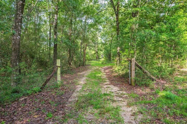Property Photo:  512 Hickory Tree Lane  FL 32539 
