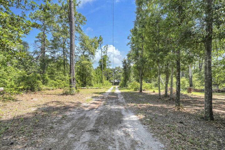 Property Photo:  41 Frog Hill Road  FL 32439 