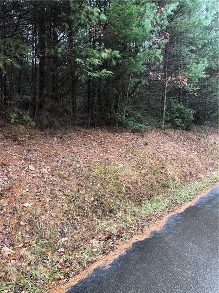 Property Photo:  0 Flagpole Road  GA 30540 