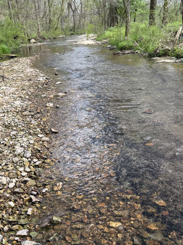Property Photo:  0 Opossum Paw Road  TN 37018 