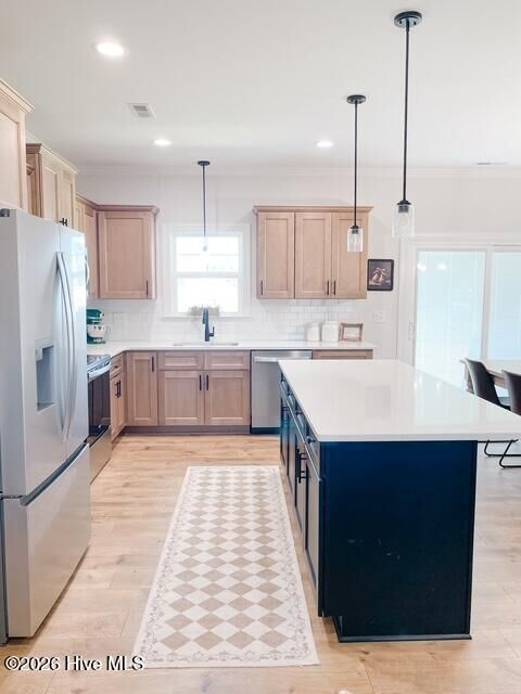 Property Photo:  215 Rae Drive  NC 27863 