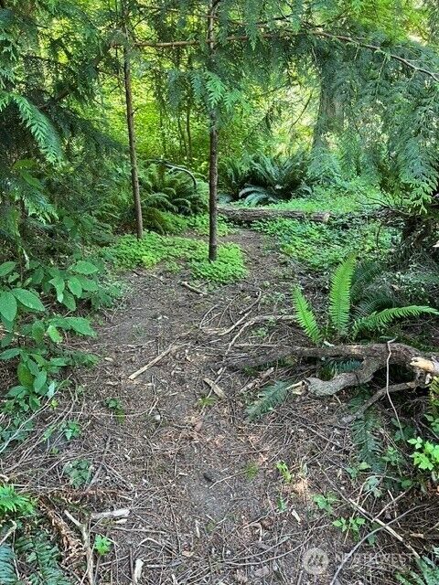 Property Photo: 74 Lake Louise Drive WA 98229