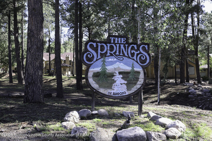 Property Photo:  1230 Mechem Drive 26  NM 88345 