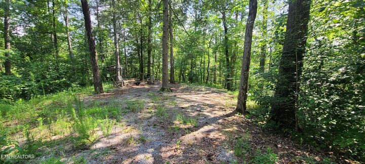 Property Photo:  1011 Carrs Creek Rd  TN 37882 