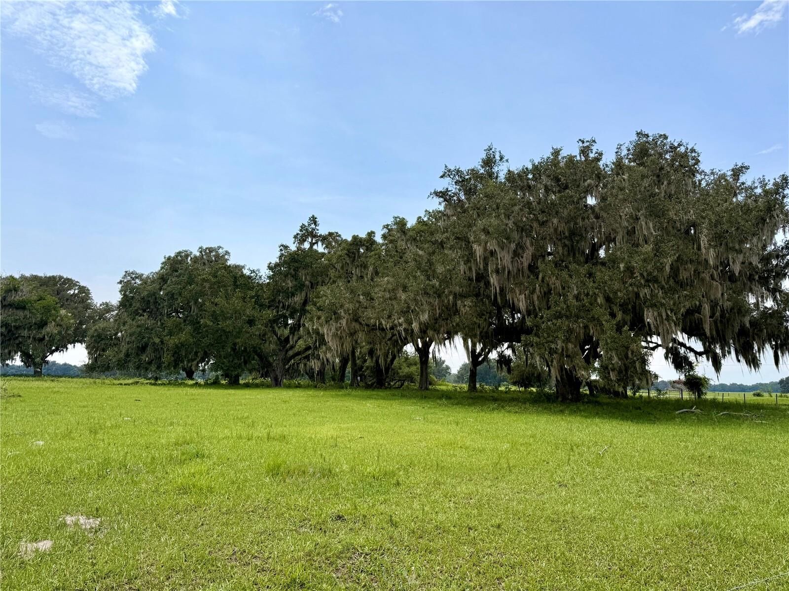 Property Photo:  E C-478  FL 33597 