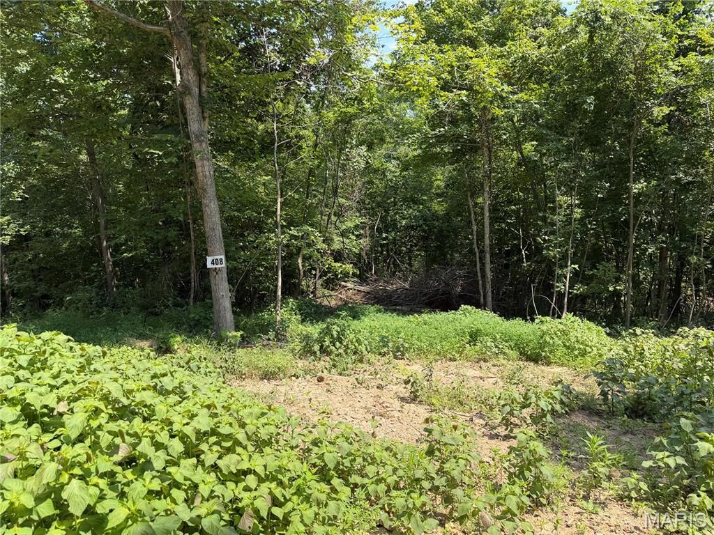 Property Photo:  #408 Madison 410  MO 63645 