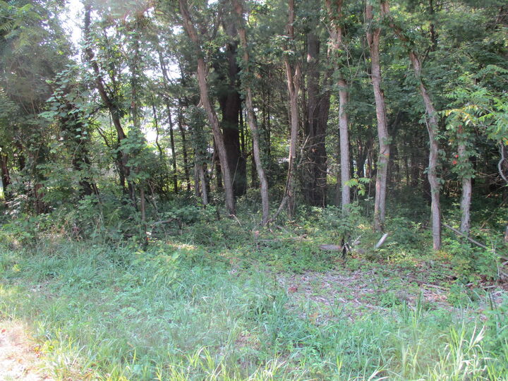Property Photo: 105th Avenue MI 49450