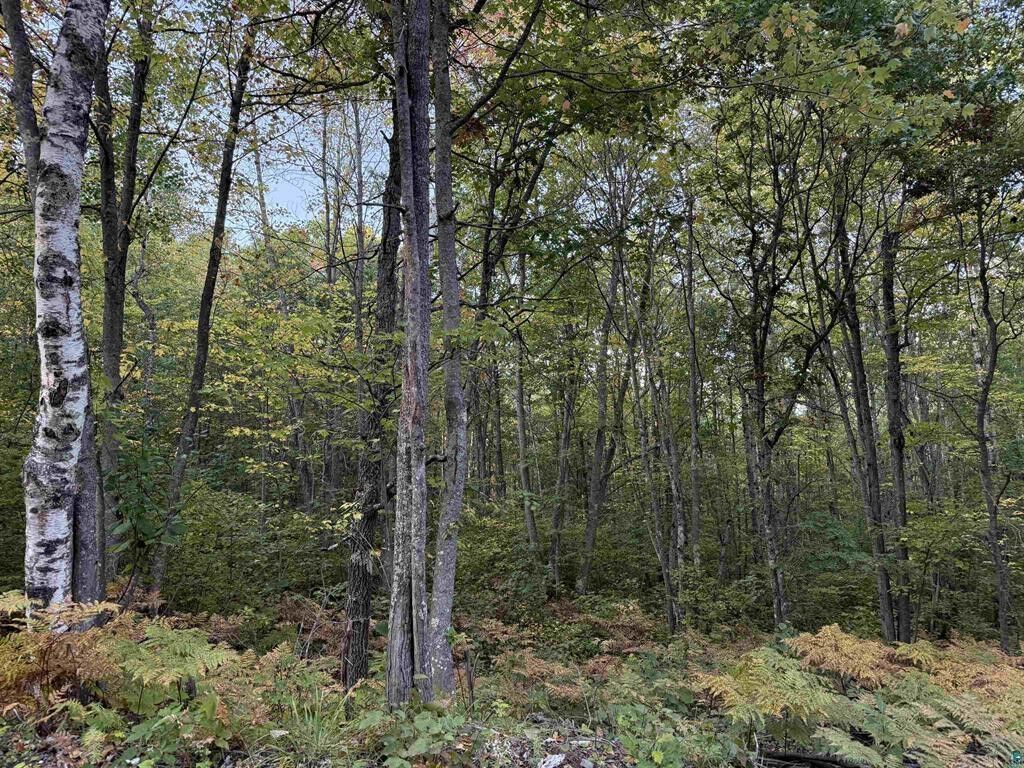 Property Photo: 000 US Highway 2 WI 54847