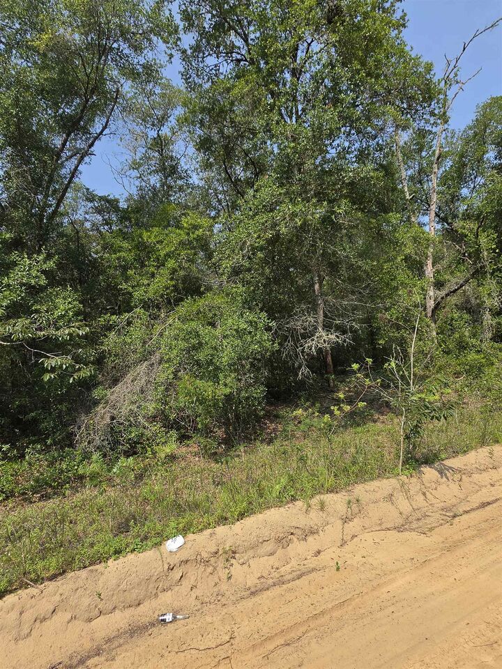 Property Photo: Sherman Drive Circle FL 32148
