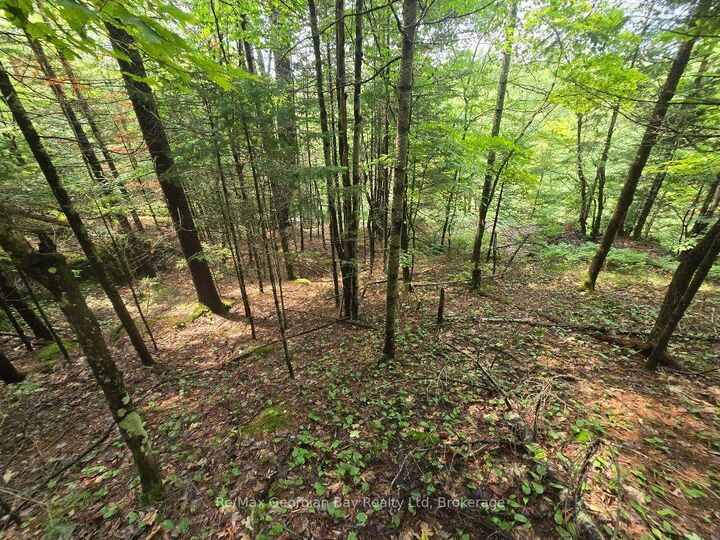 Property Photo:  107 Balsam Chutes Road  ON P0B 1L0 