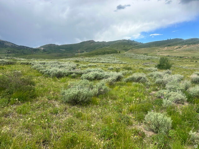 Property Photo:  5465 N Lone Hill Dr 1 &Amp 2  UT 84049 