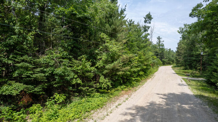 Property Photo:  14211 Waldmar Court  MI 49721 