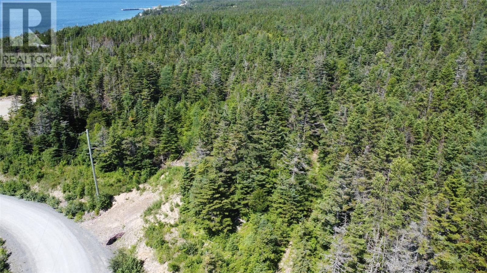 Property Photo:  43 Lakeside Drive  NL A0B 1R0 