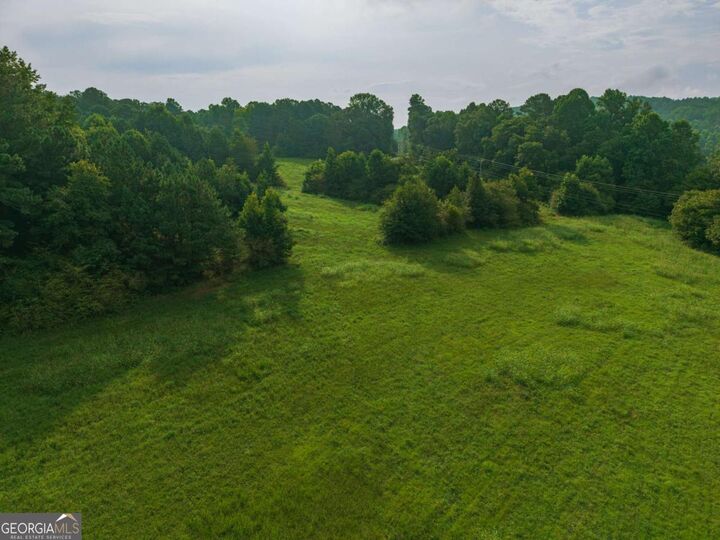 Property Photo:  10700 Reinhardt College Parkway  GA 30183 