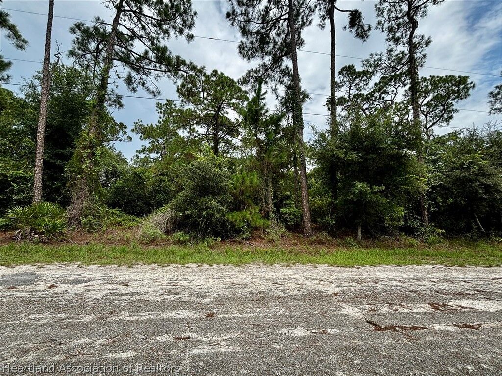 Property Photo:  3231 Forrest View Avenue  FL 33852 