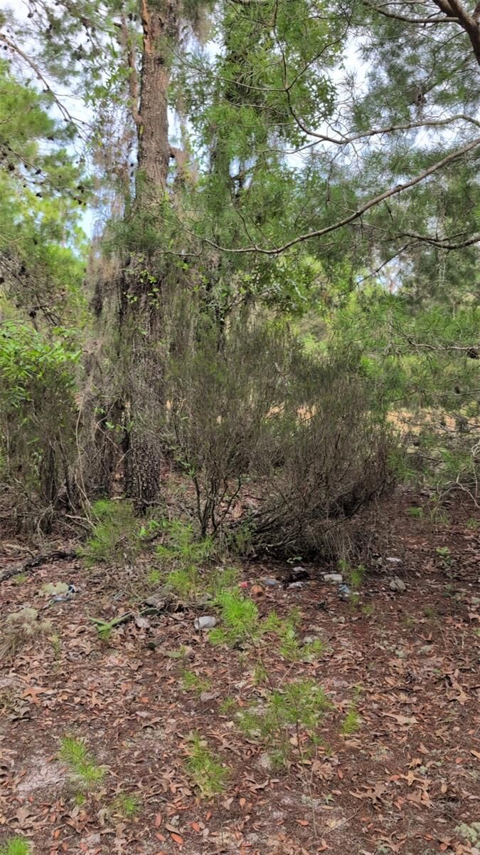 Property Photo:  102 B Street  FL 32148 