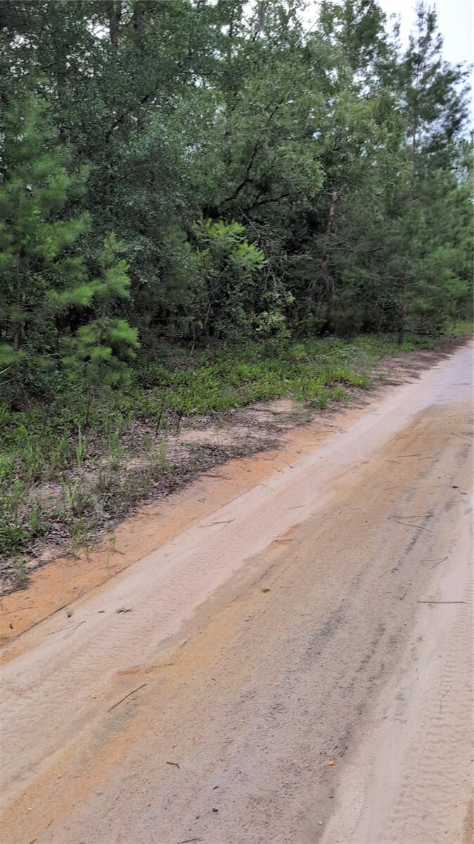 Property Photo:  Pineway Drive  FL 32148 