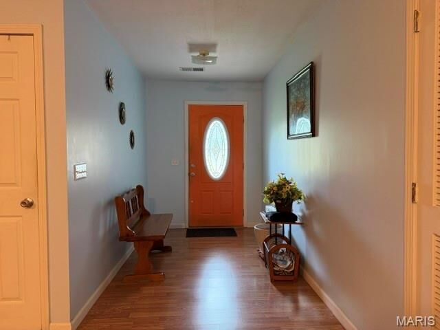 Property Photo:  807 Cotton Ridge Drive  MO 63801 