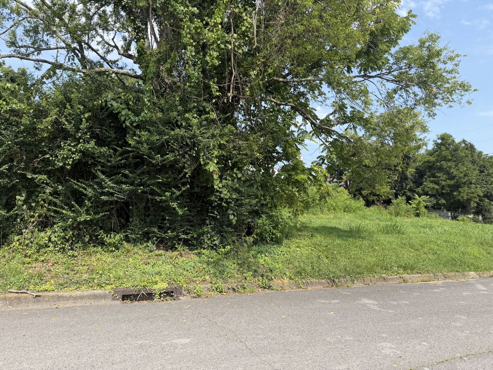 Property Photo: 0 Morton St TN 37160