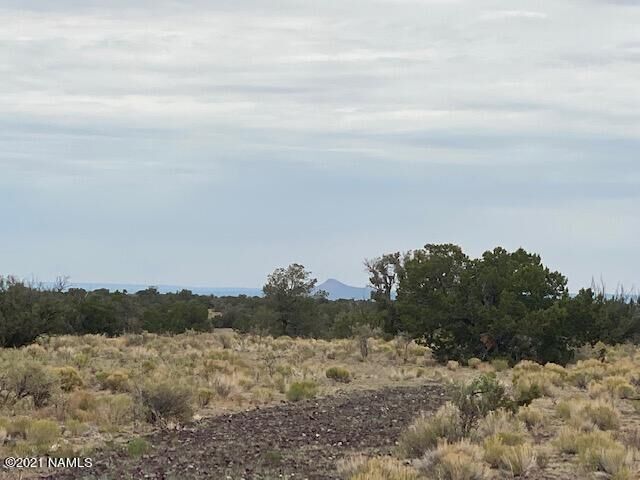 Property Photo:  10187 S Cougar Court  AZ 86046 