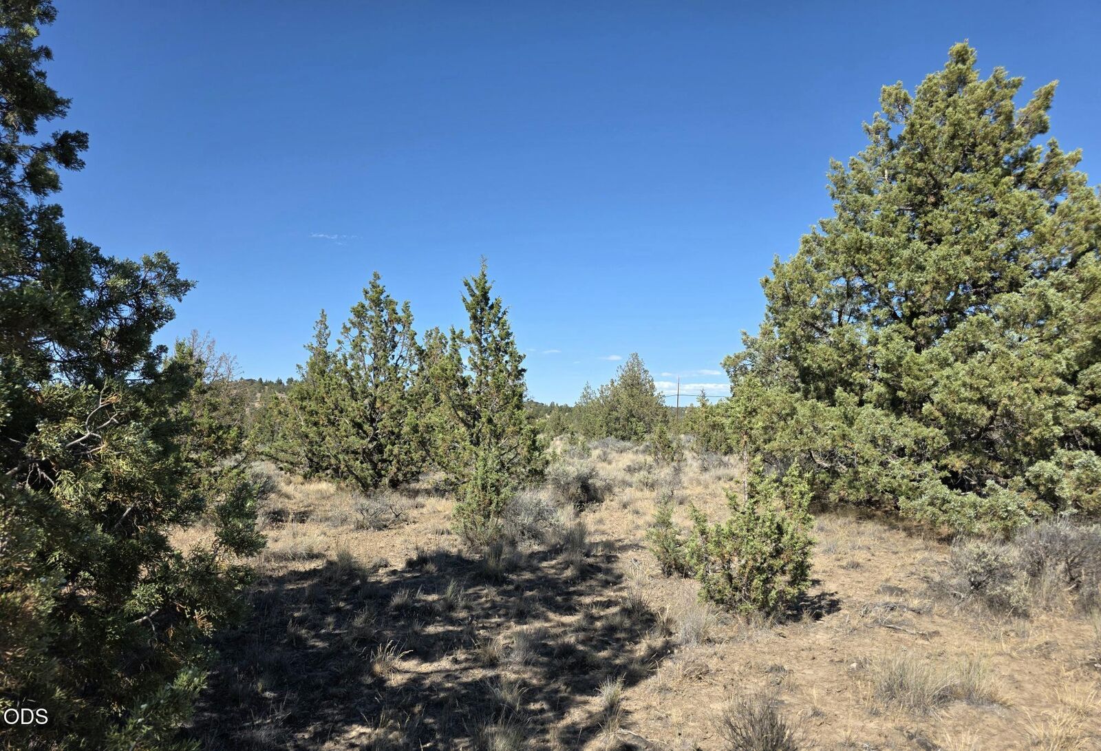 Property Photo:  SE Cayuse Road  OR 97754 