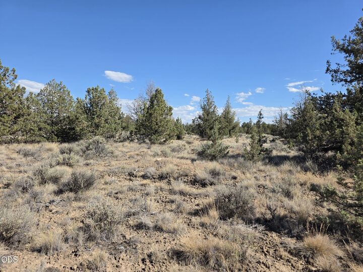 Property Photo:  SE Cayuse Road  OR 97754 