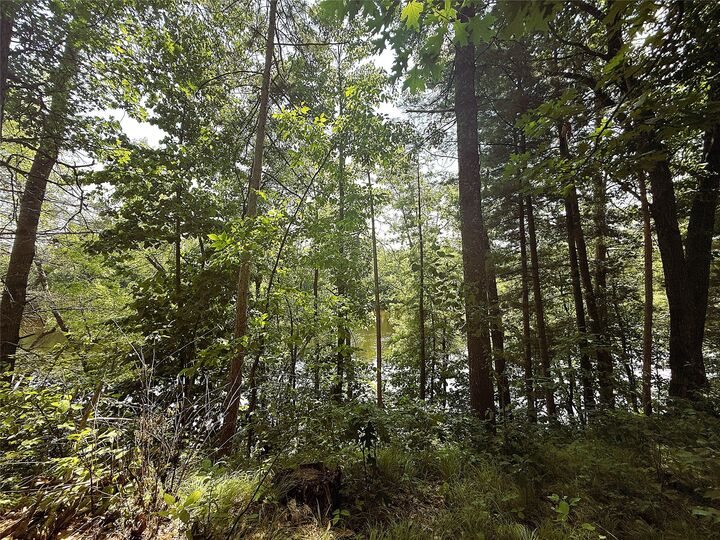 Property Photo: N3720 State Highway 40 WI 54819