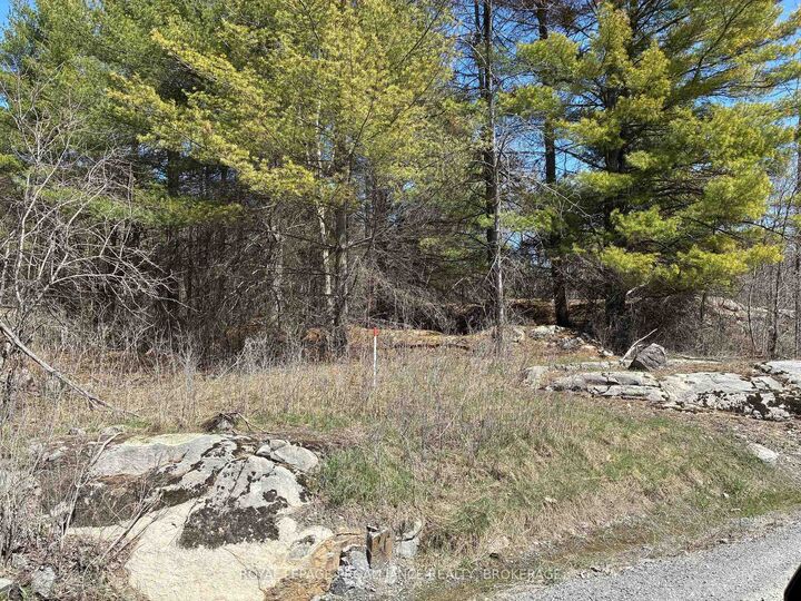 Property Photo: Lot 4 Leveque Road ON K0H 2W0