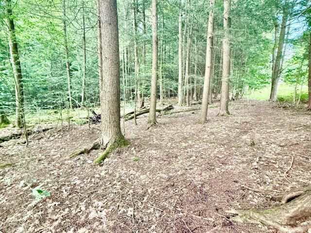 Property Photo: 0 Hatch Run Road PA 16365