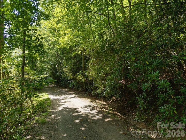 Property Photo:  23.53 Acres Ballard Creek Road  NC 28730 
