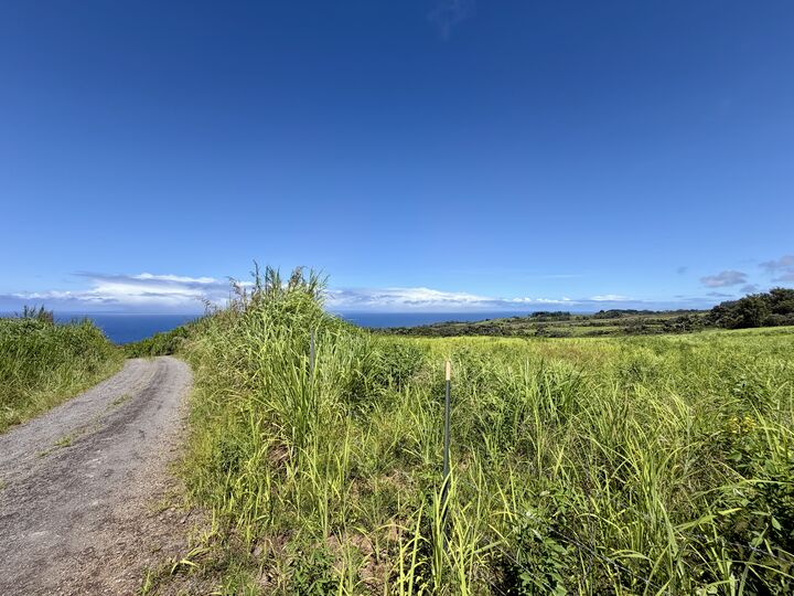 Property Photo:  32-195 Piha Kahuku Rd  HI 96780 
