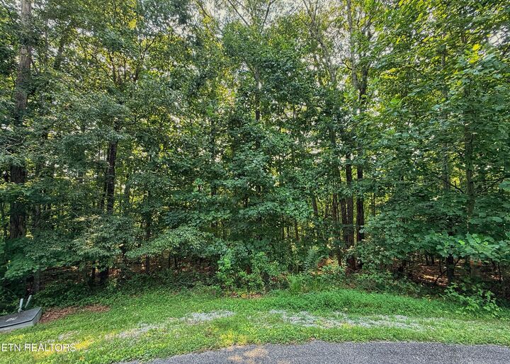 Property Photo:  Spruce Court - Lot 32  TN 38571 